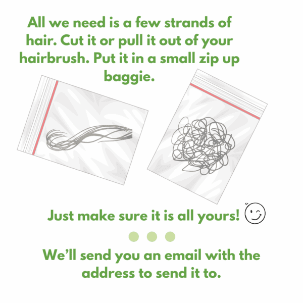 Custom Homeopathic Starter Pack w/ Hair Sample - Image 3